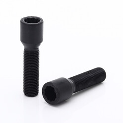 Black Extended Internal Drive Wheel Bolts M14x1.5 (Pack of 10) 