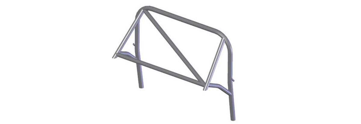 Rear Roll Cages