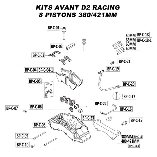 Spare Parts for D2 Racing Front Brake Kits - 8 Pistons 380/421 mm