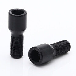Black Internal Drive Wheel Bolts M12x1.25 (Pack of 20)