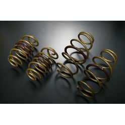 Tein High Tech Springs for Nissan Juke