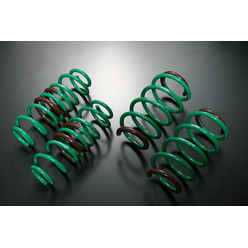 Tein S-Tech Springs for Audi A4 B7 (Quattro)