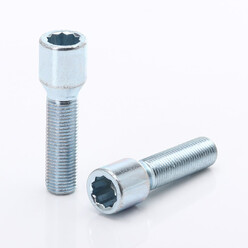 Silver Extended Internal Drive Wheel Bolts M14x1.25 (Pack of 10) 