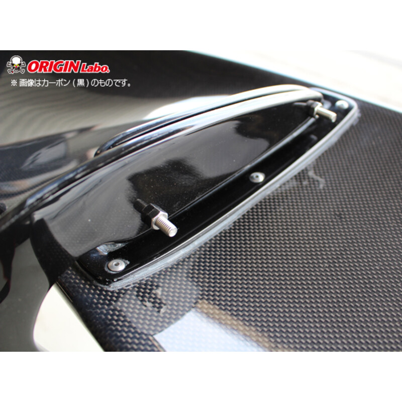 Origin Labo Universal Carbon Spoiler "Snake Style" (160 cm)