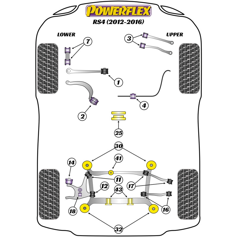 Powerflex Poly Bushes for Audi RS4 B8 (12-16)