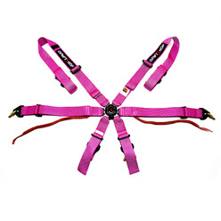 DriftShop 6-Point Harness - Pink - FIA 2024