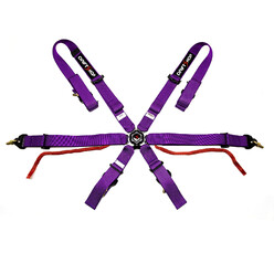 DriftShop 6-Point Harness - Purple - FIA 2022