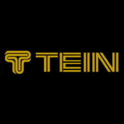 Tein Gold Logo Sticker - 30 cm