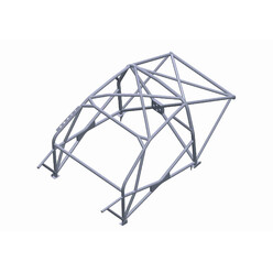 Custom Cages Multipoint Weld-In Roll Cage for Ford Fiesta MK6, inc. ST150 - FIA
