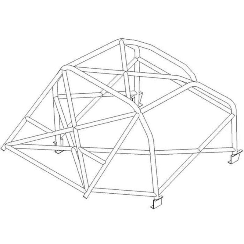 Custom Cages Historic Weld-In Roll Cage for Ford Mustang Notchback - FIA