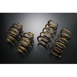 Tein High Tech Lowering Springs for Nissan Cube Z12 (08-20)