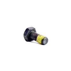 BMW OEM Flywheel Bolt (No. 11227805885)