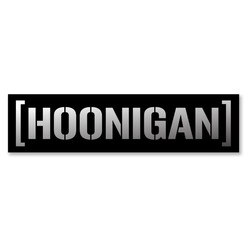 Hoonigan Silver Sticker (20 cm)