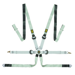 OMP 6 Points 2" ONE-D Harness (FIA, Hans)