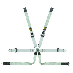 OMP 6 Points 2" ONE-D Prototype Harness (FIA, Hans)