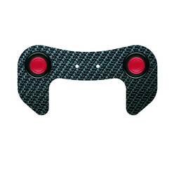 OMP Carbon Fiber Steering Wheel Plate (2 Buttons)