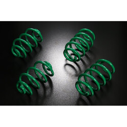 Tein S-Tech Springs for Audi A4 B6 Quattro (02-05) (-40/-45 mm)