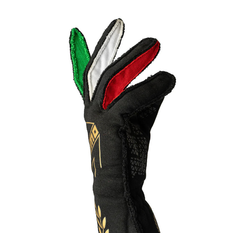 Momo Corsa Pro Anniversario Gloves (FIA)