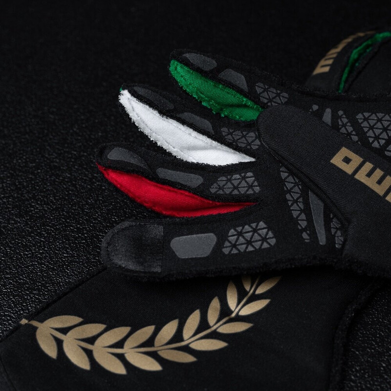 Momo Corsa Pro Anniversario Gloves (FIA)