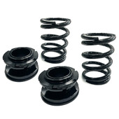 Lowering Spring Kits