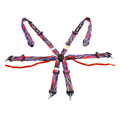 DriftShop 6-Point Harness - FIA 2025