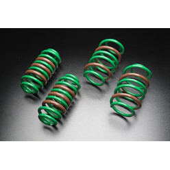 Tein S-Tech Springs for Polestar 2 (19-22)